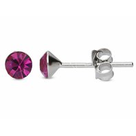 fuchsia.jpg