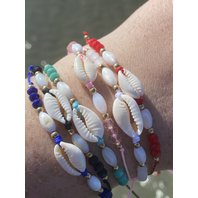 shell (1).JPEG